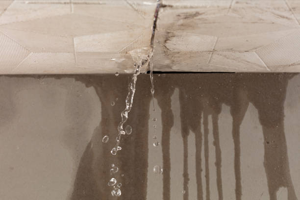 Professional Water Extraction technician working in Henderson, NC